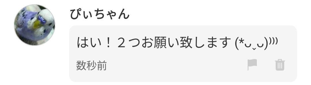 ぴぃちゃん☆彡すのチルぬいカツラ