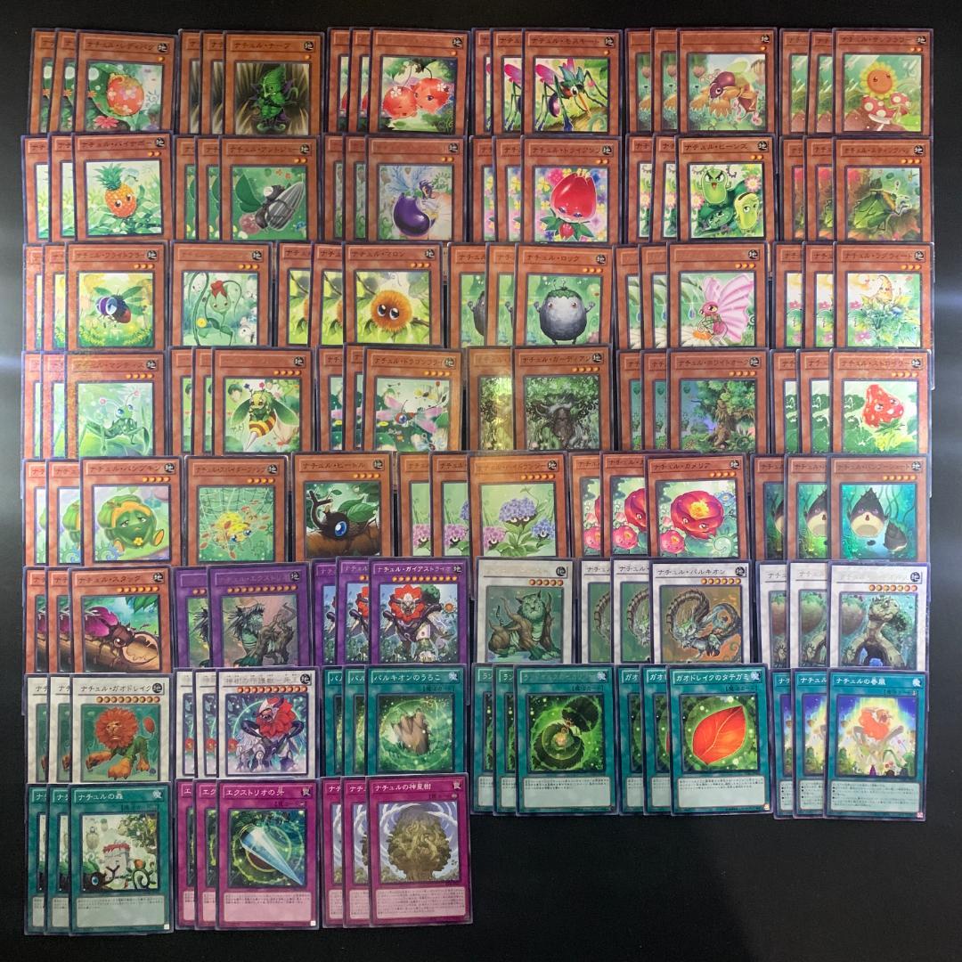 No.16758 遊戯王 ナチュル デッキパーツ デュエルターミナル多数