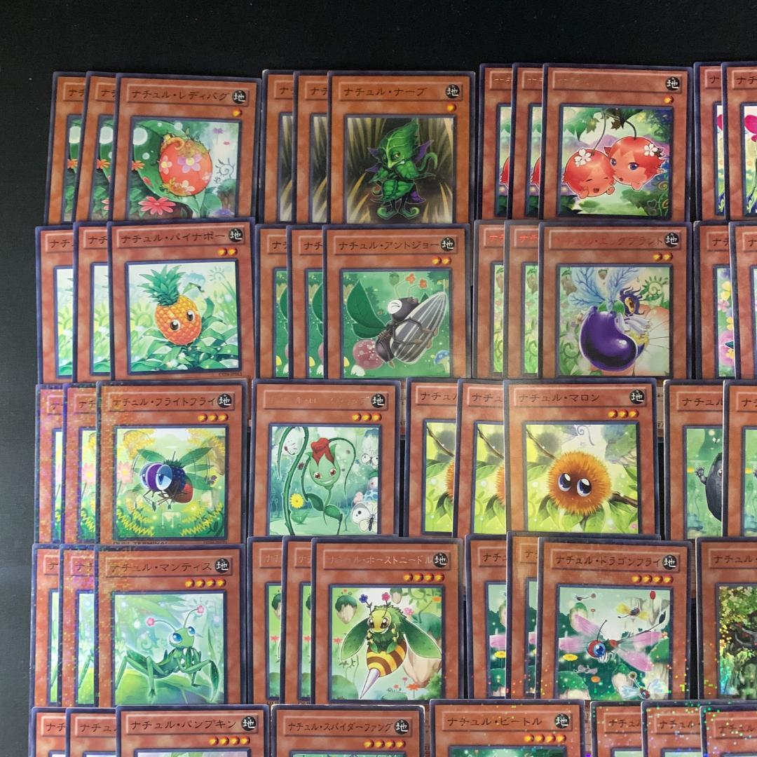 No.16758 遊戯王 ナチュル デッキパーツ デュエルターミナル多数