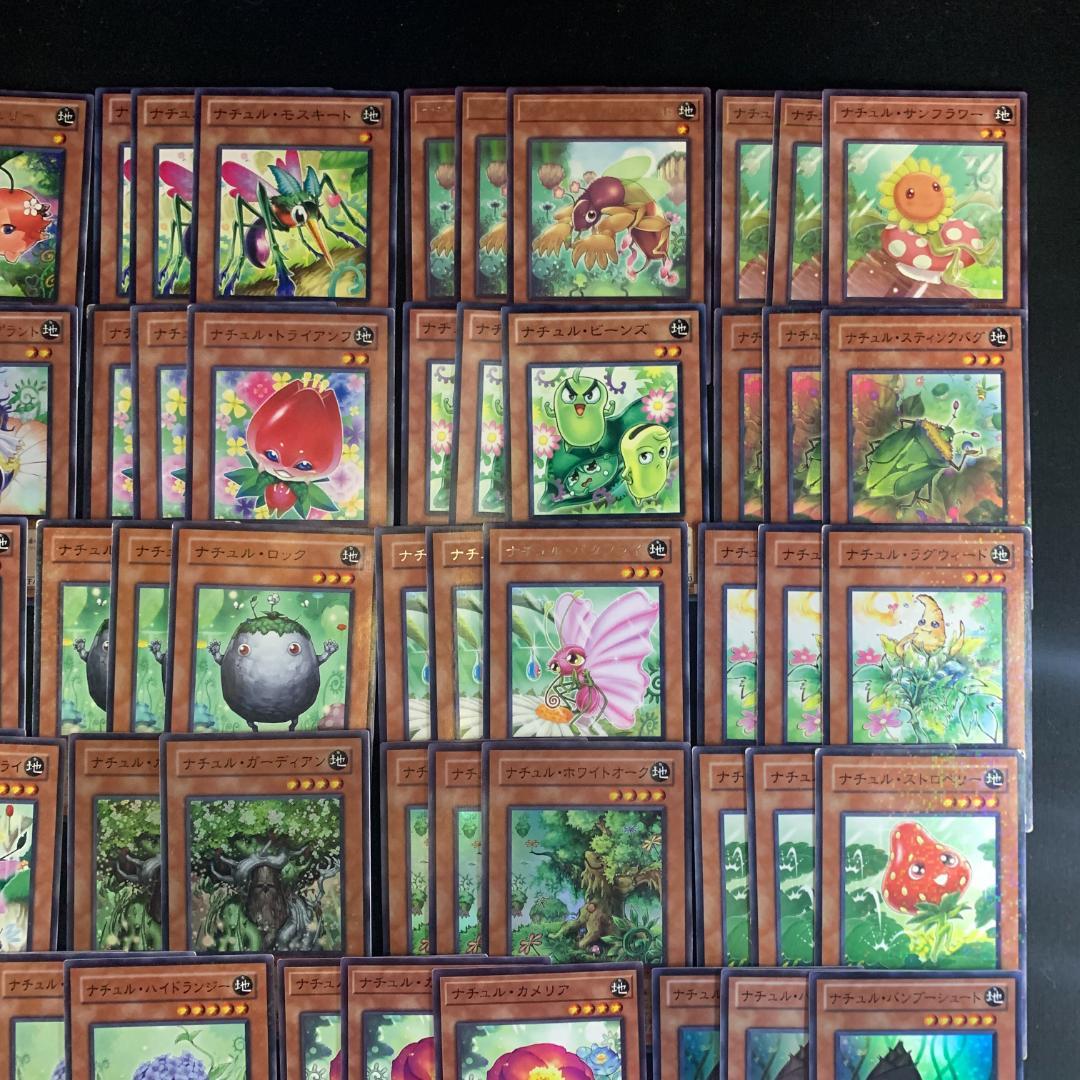 No.16758 遊戯王 ナチュル デッキパーツ デュエルターミナル多数