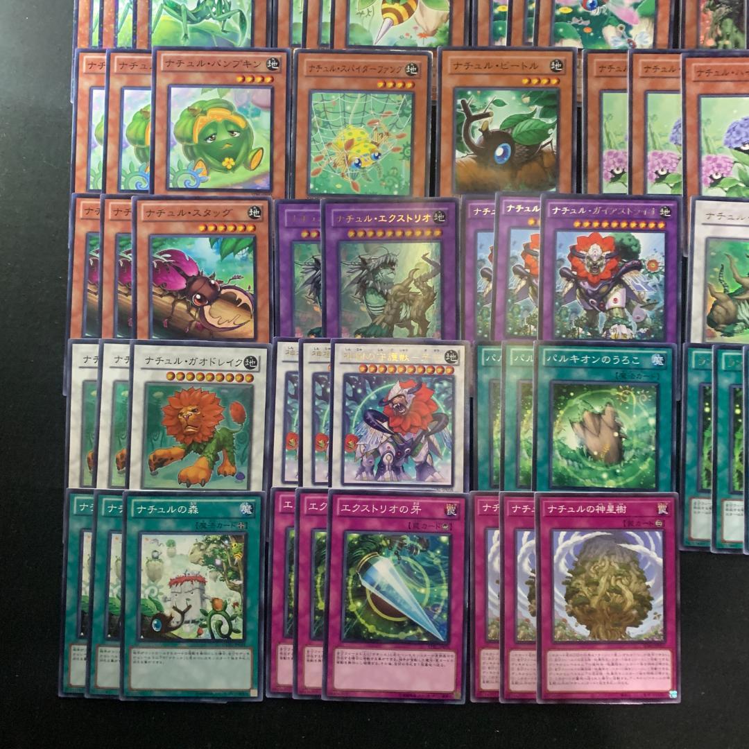 No.16758 遊戯王 ナチュル デッキパーツ デュエルターミナル多数