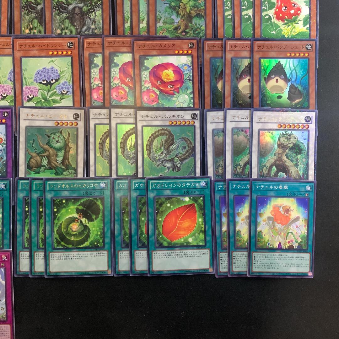 No.16758 遊戯王 ナチュル デッキパーツ デュエルターミナル多数