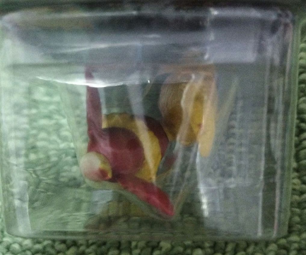 初代 モンコレ ブースター フィギュア No.136 ポケモン TOMY 初期