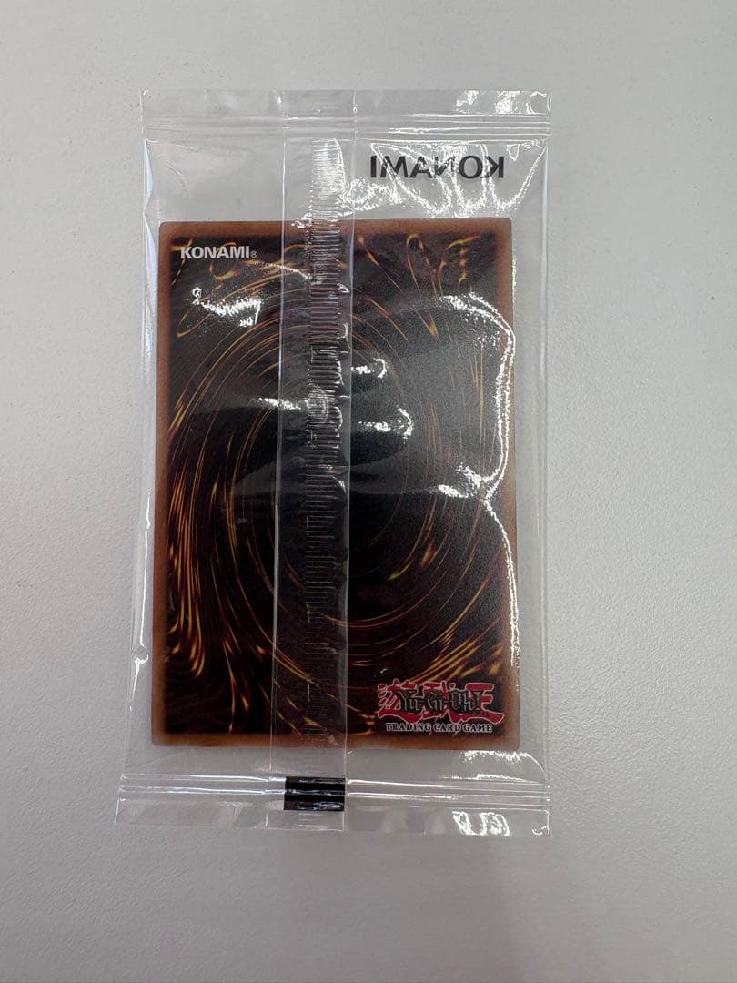 遊戯王　日本選手権2026 プロモ　The Lady's Protectors