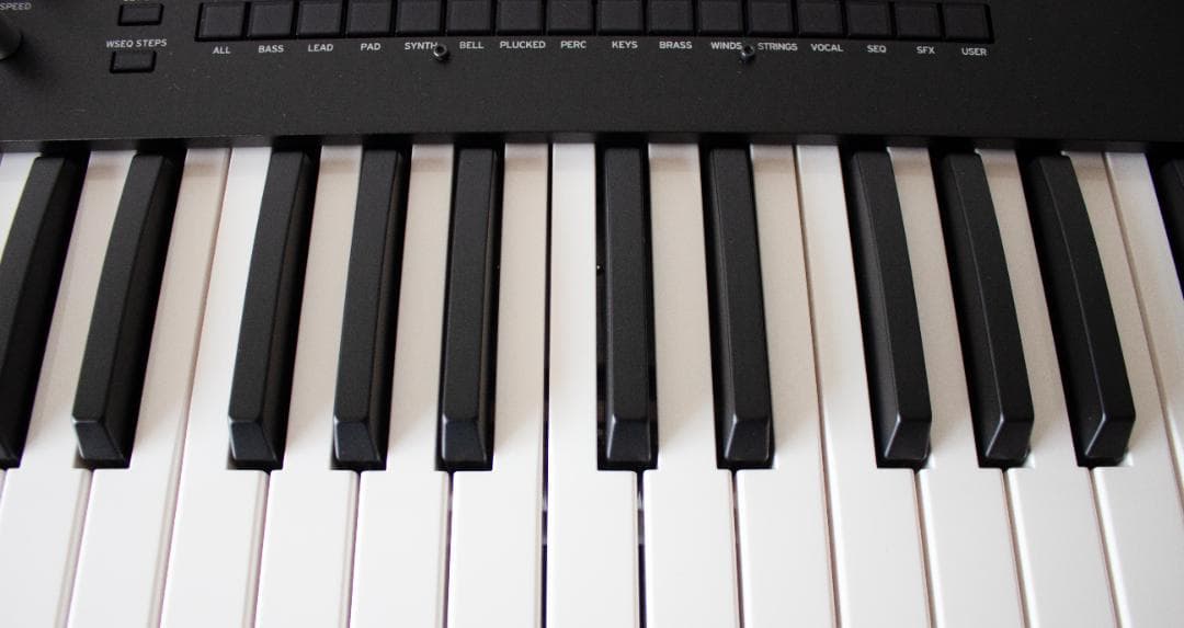 KORG wavestate SE 61鍵盤 美品 純正ケース付 ソフト未使用