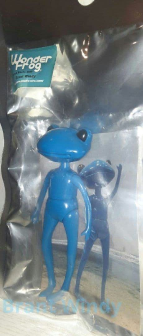 ‪ஐ‬ブラント・ウィンディー☘︎︎ ワンダフレンド＃13‪ ஐ‬⋆*