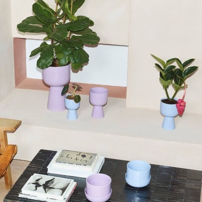 【cinq】 ナップラ 観葉植物 鉢カバー 限定カラー