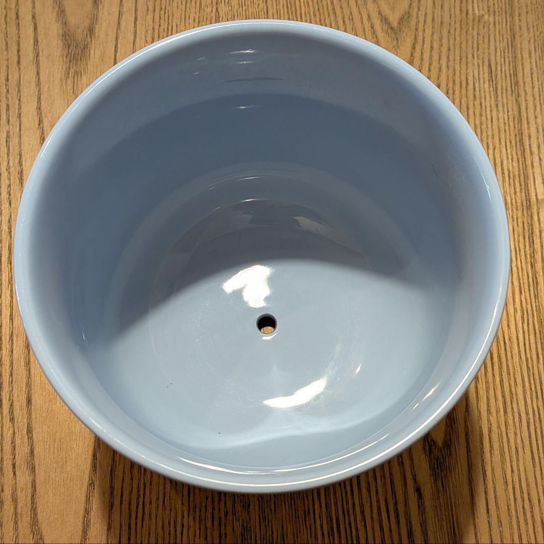 【cinq】 ナップラ 観葉植物 鉢カバー 限定カラー