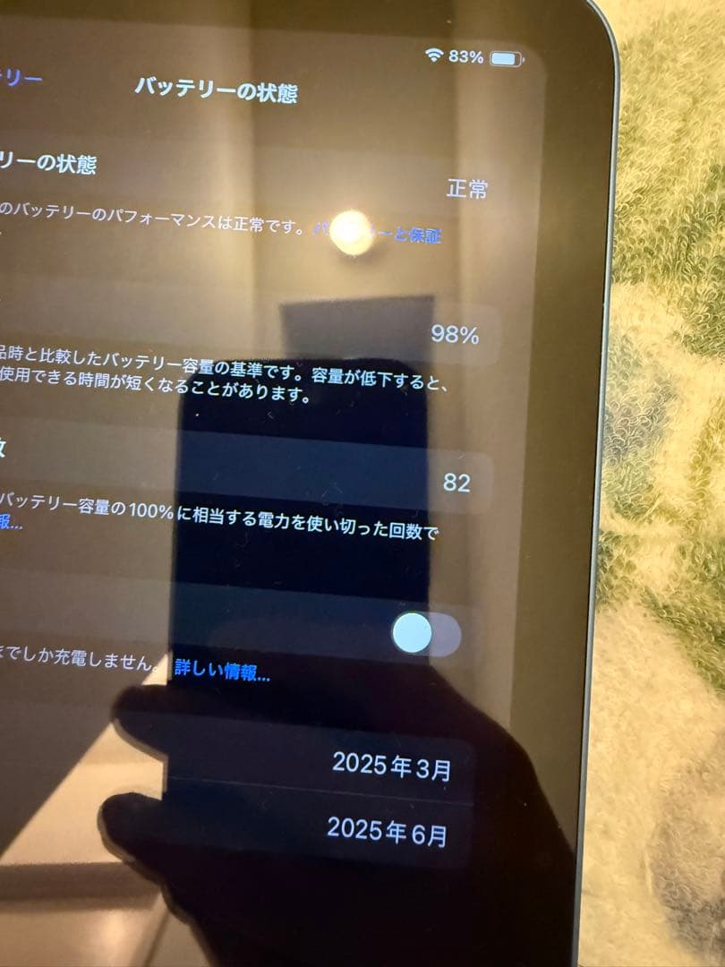 Apple iPad A16 256GB 機種本体