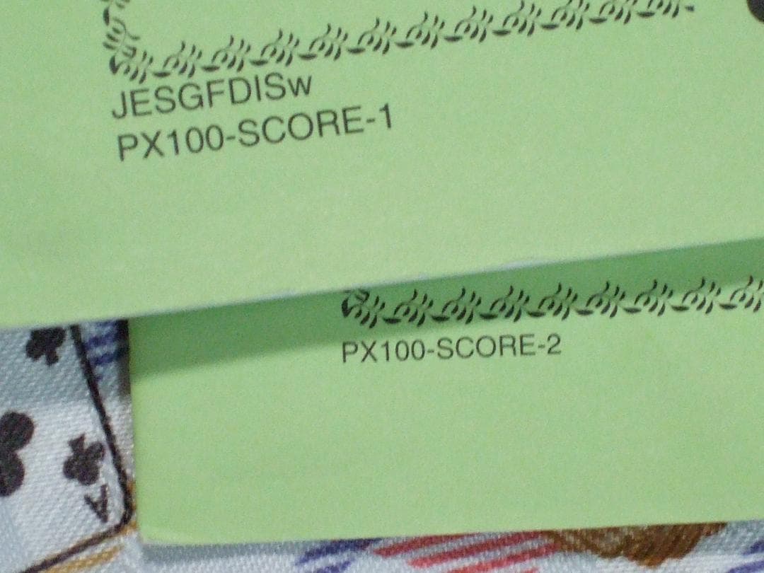 CASIO Privia PX-100 電子ピアノ 88鍵 【送料込み】