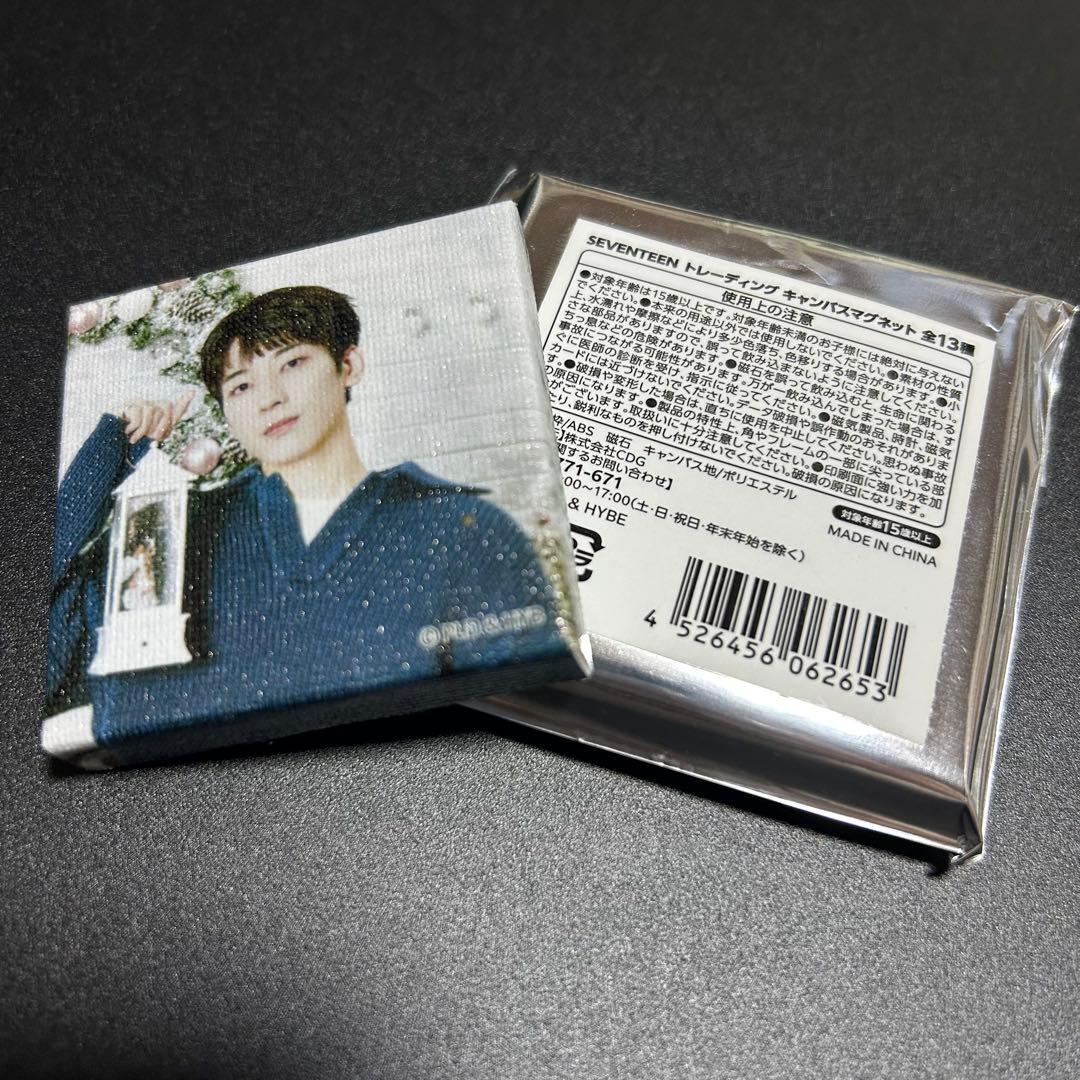 ウォヌ　キャンバスマグネット