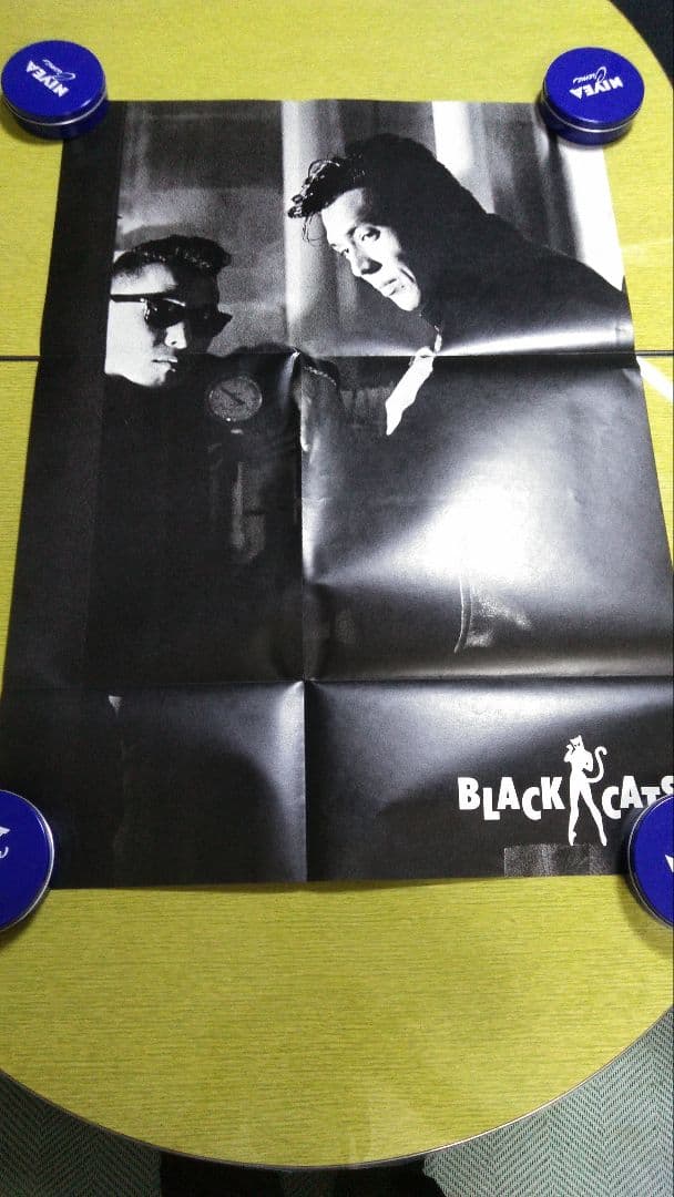 ダックテールズ、ブラックキャッツ、ポスター、クリー厶ソーダ、クレイジーケンバンド