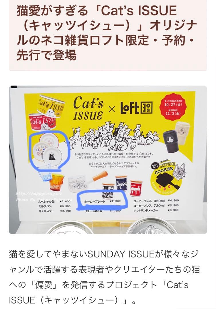 キャッツイシュー ホーロープレート 23cm 6点セット