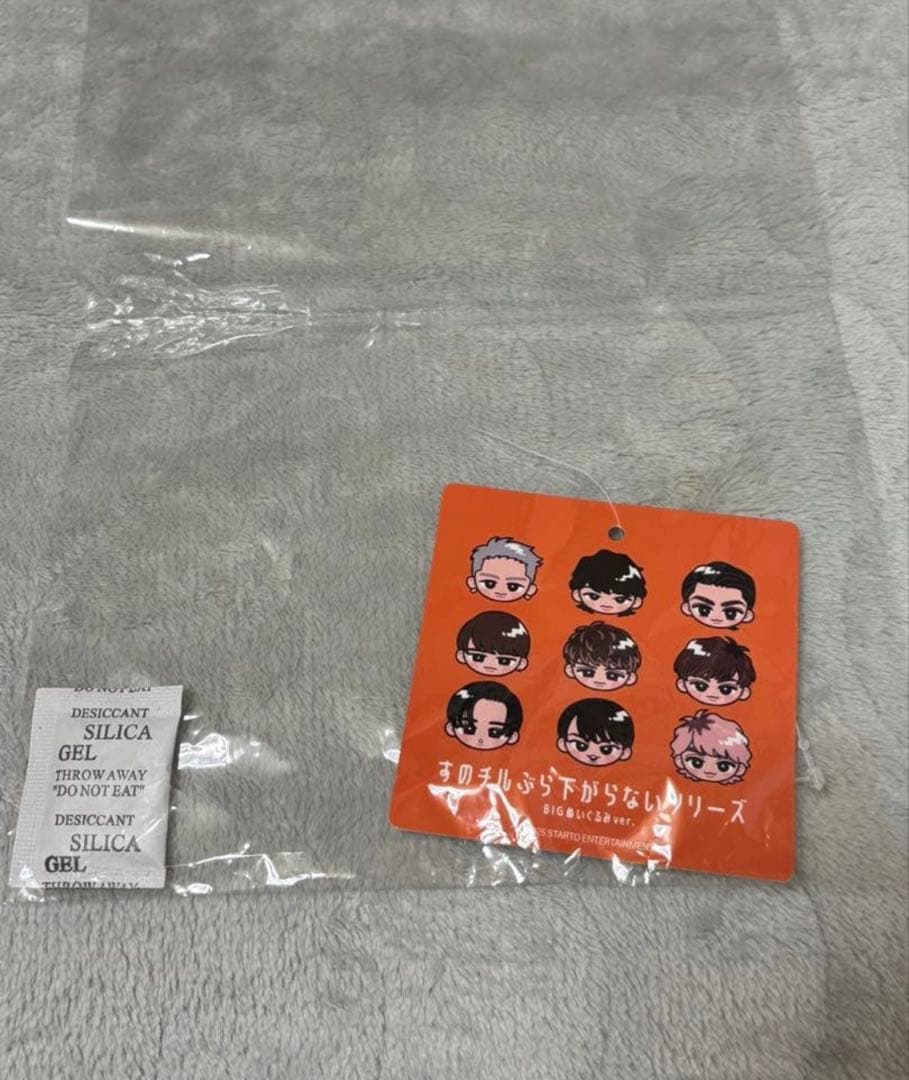 BIGすのチル ぬいぐるみ Man 向井康二