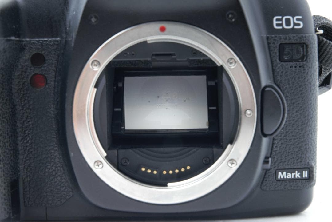 Canon EOS 5D Mark II【S数143,471回】フルサイズ