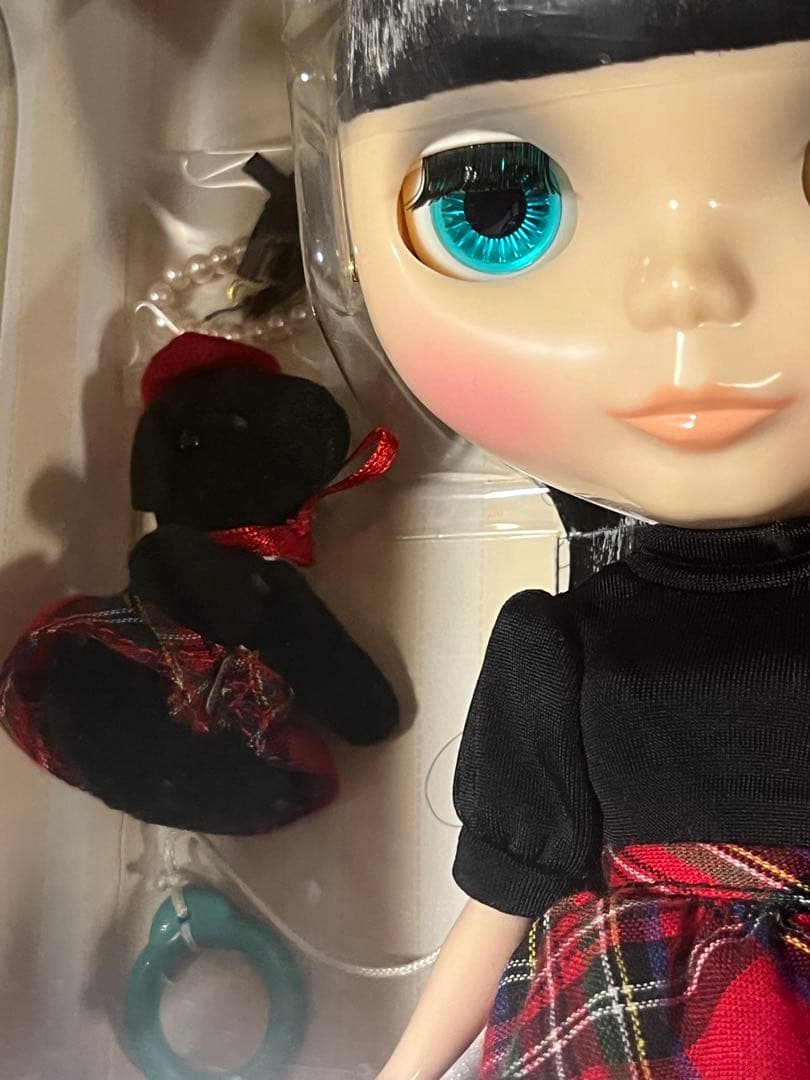 【新品未開封】トップSHOP限定バウワウトラッド