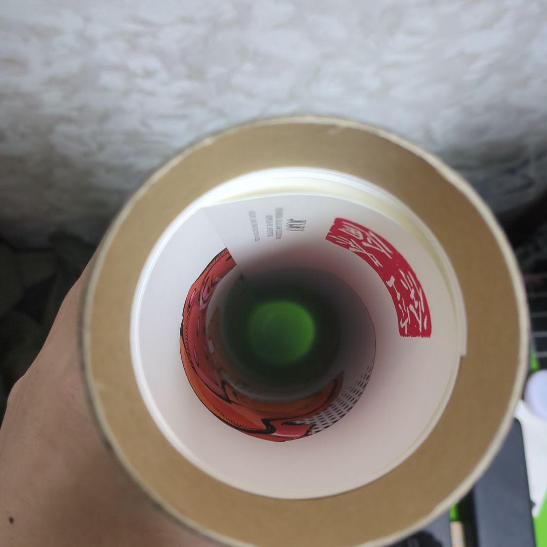 ジョジョ展限定 ジョジョの奇妙な冒険第６部ポスター 空条徐倫