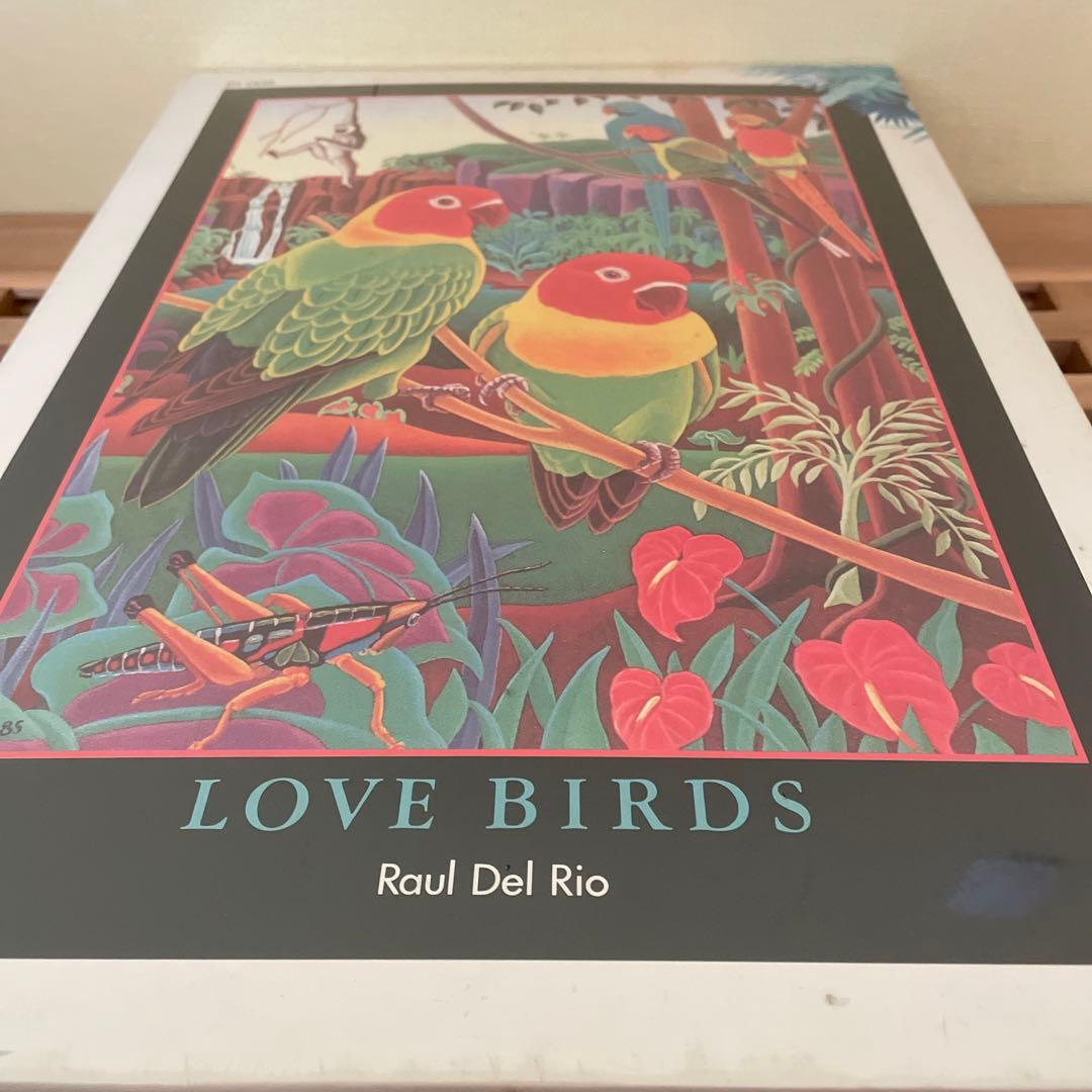 ビバリー　ジグソーパズル　Raul Del Rio ラブバーズ　1000P