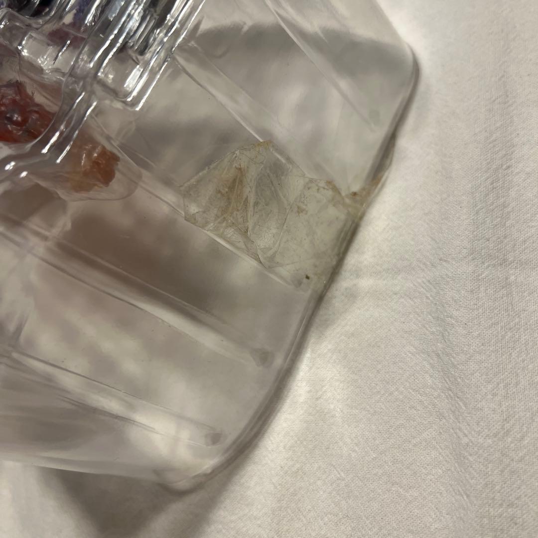 S.H.MonsterArts ゴジラ(2016) 第4形態覚醒Ver. 「シ…