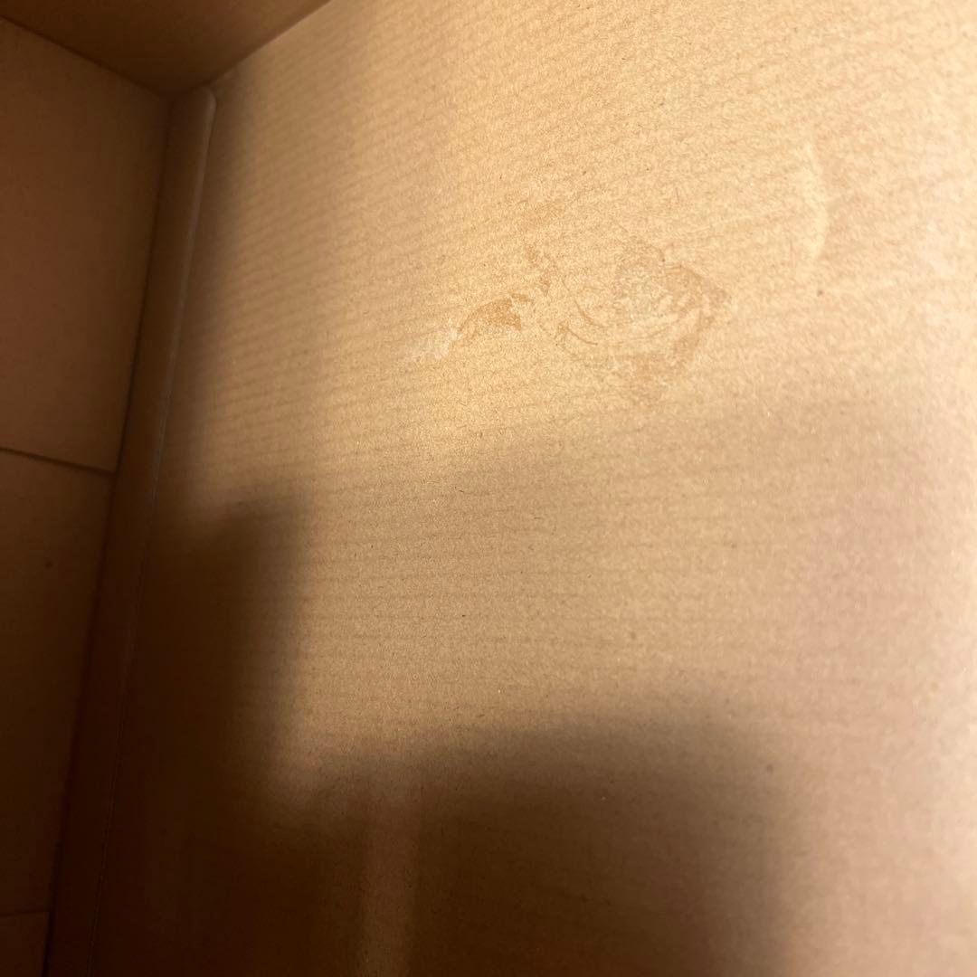 S.H.MonsterArts ゴジラ(2016) 第4形態覚醒Ver. 「シ…