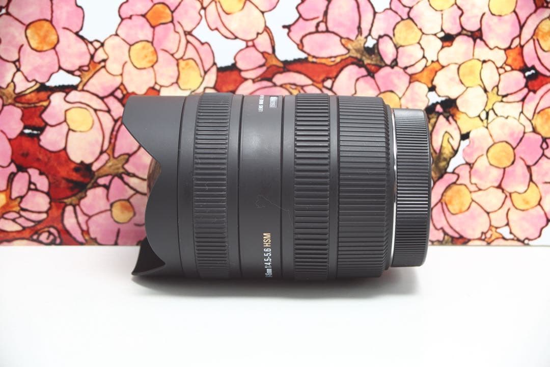 ❤超広角❤シグマ 8-16mm DC HSM❤キヤノン用