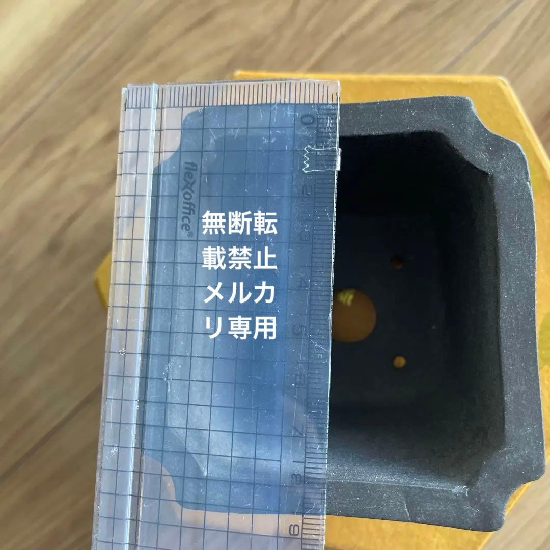 ミニ盆栽鉢　小品盆栽　桑津香石　絵鉢　梅　滝　山野草