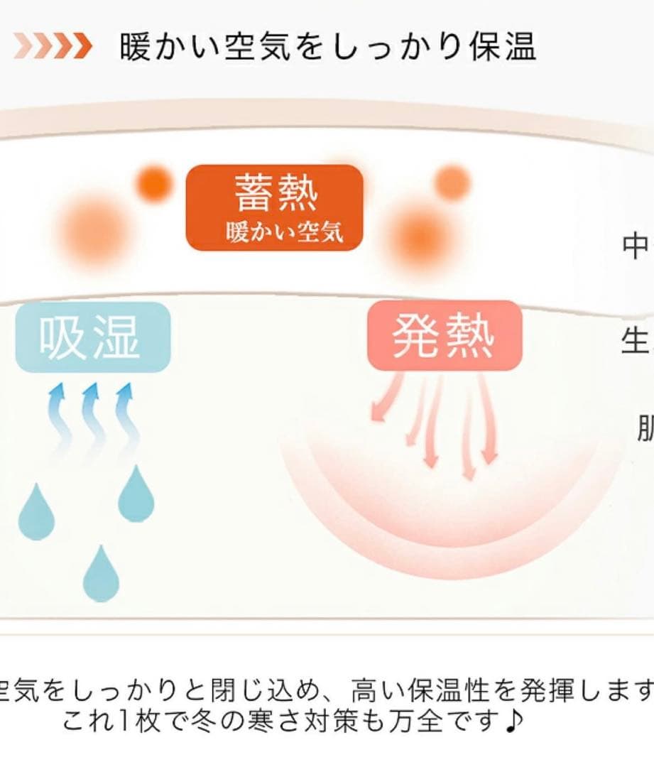 大人気　シシベラ　新品　吸湿・発熱生地蓄熱中綿　毛布　スレートグレー　シングル