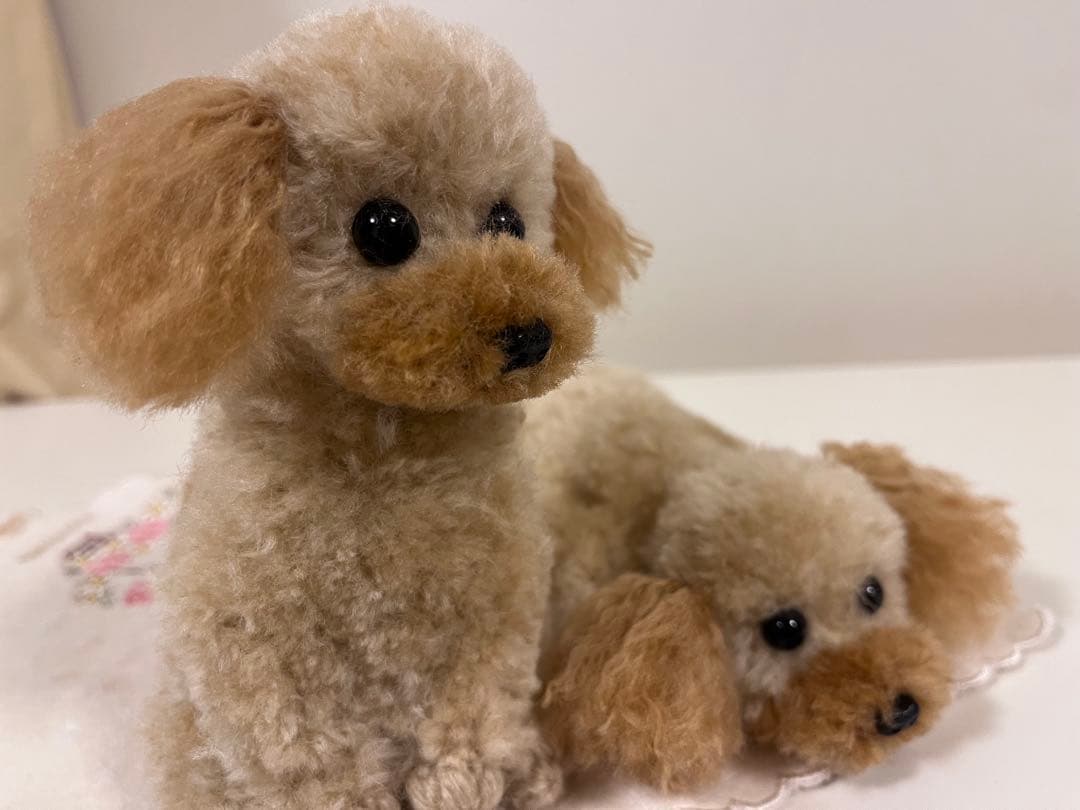 midorippeさま アプリコット（茶耳）伏せポーズ　お座りポーズ