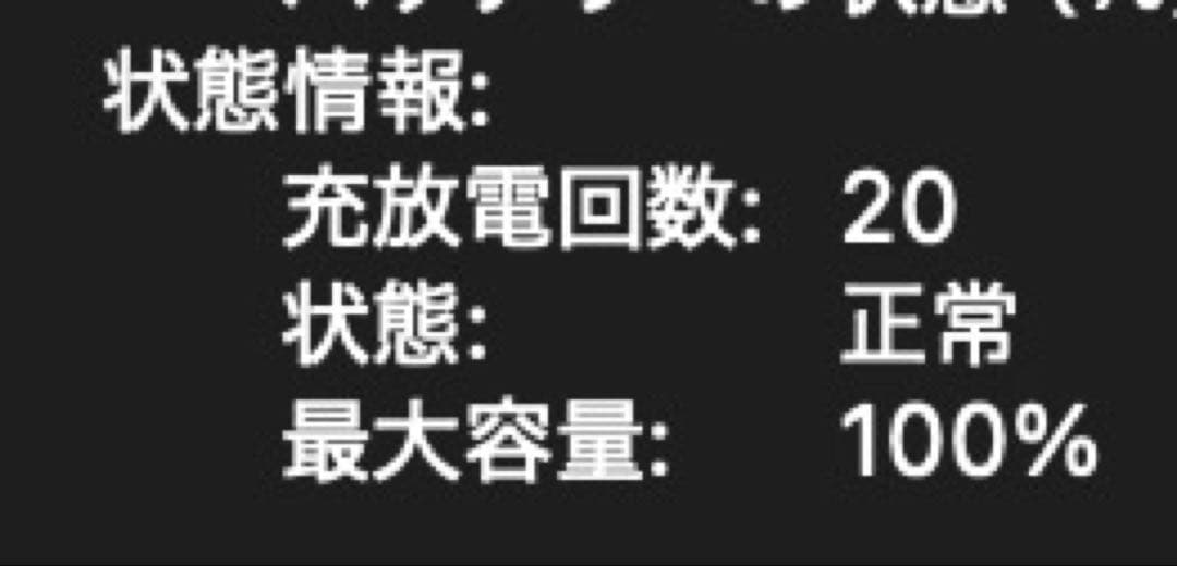 13インチMacBook Air M4 24GB 512GB 100% 2025