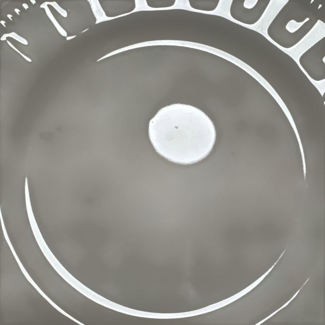 ウェッジウッド コロシアム　約20cm　プレート3枚セット