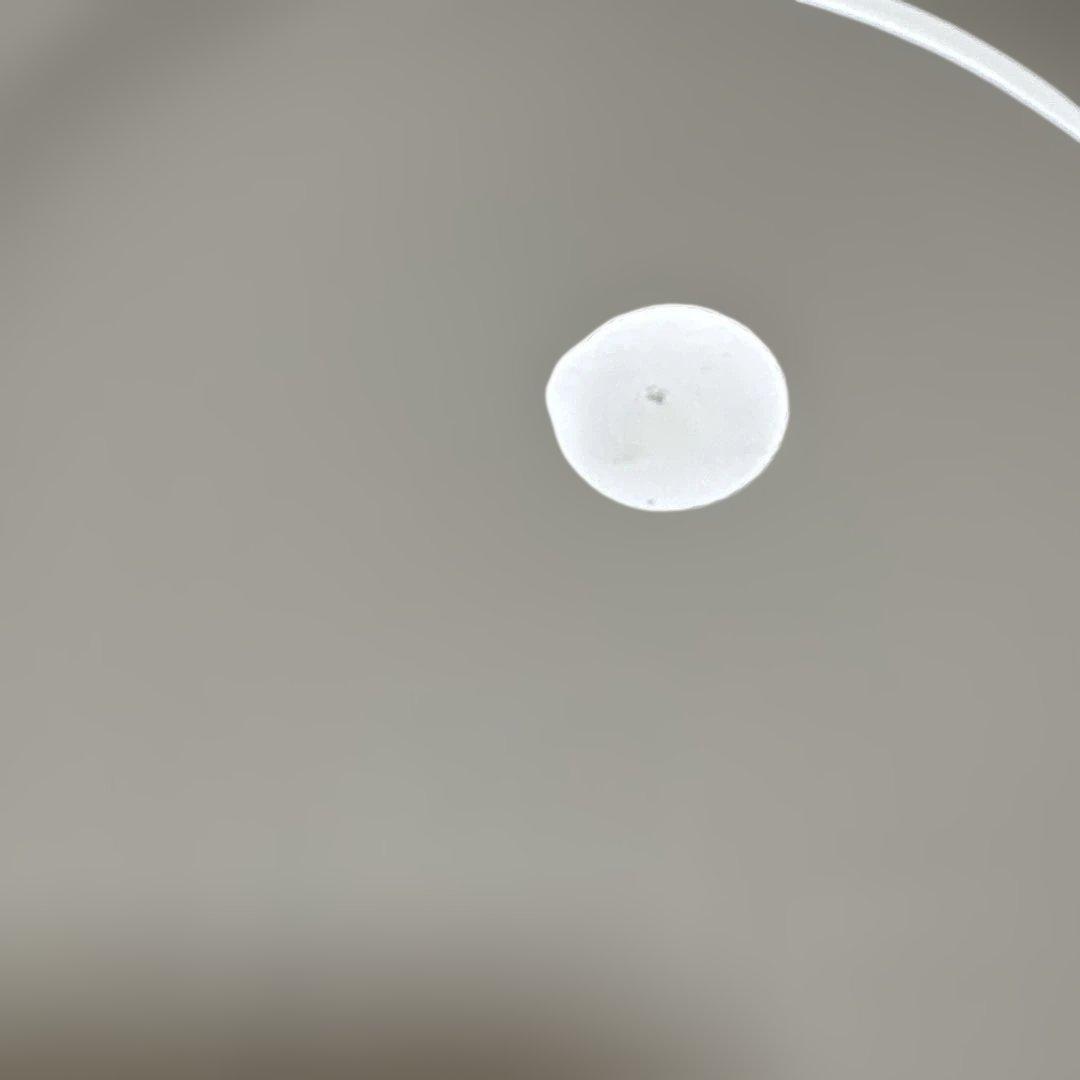 ウェッジウッド コロシアム　約20cm　プレート3枚セット