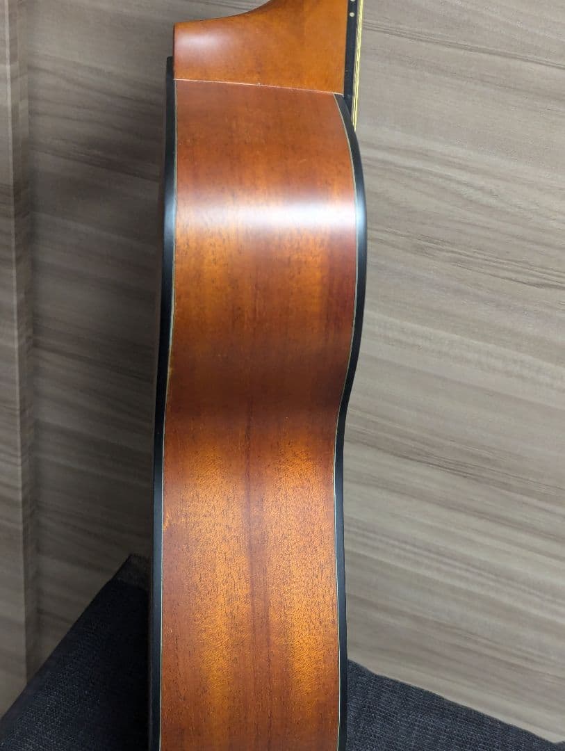 Morris SS-30 パーラーギター トップ単板 弦長612mm