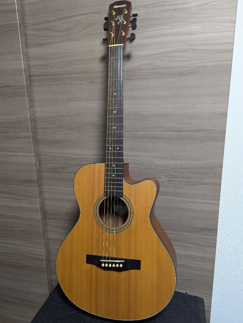 Morris SS-30 パーラーギター トップ単板 弦長612mm