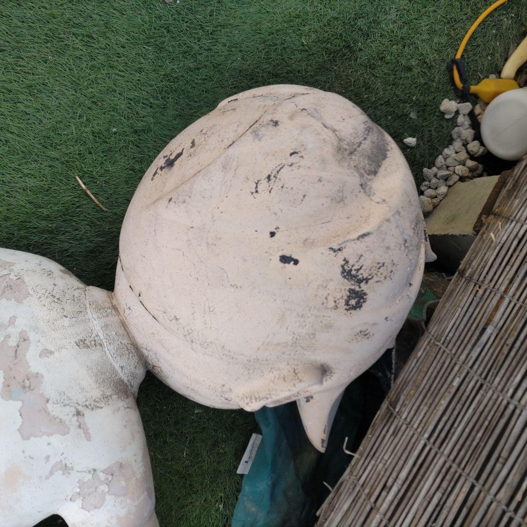 信用金庫 信ちゃん