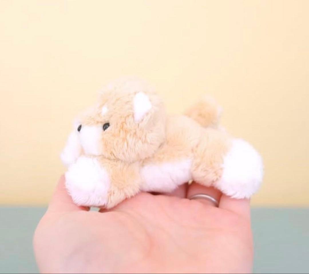 犬　ぬいぐるみ　ハンドメイド　ぬいぐるみ作家　レア