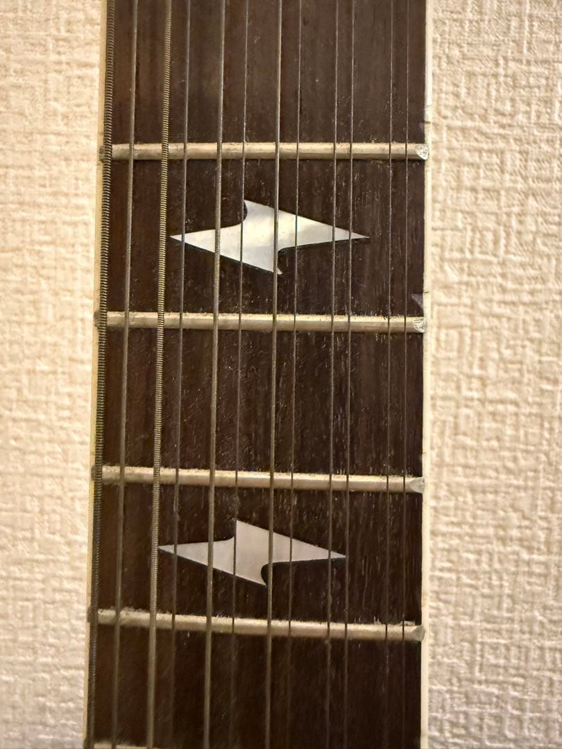 Leund 12弦アコースティックギター