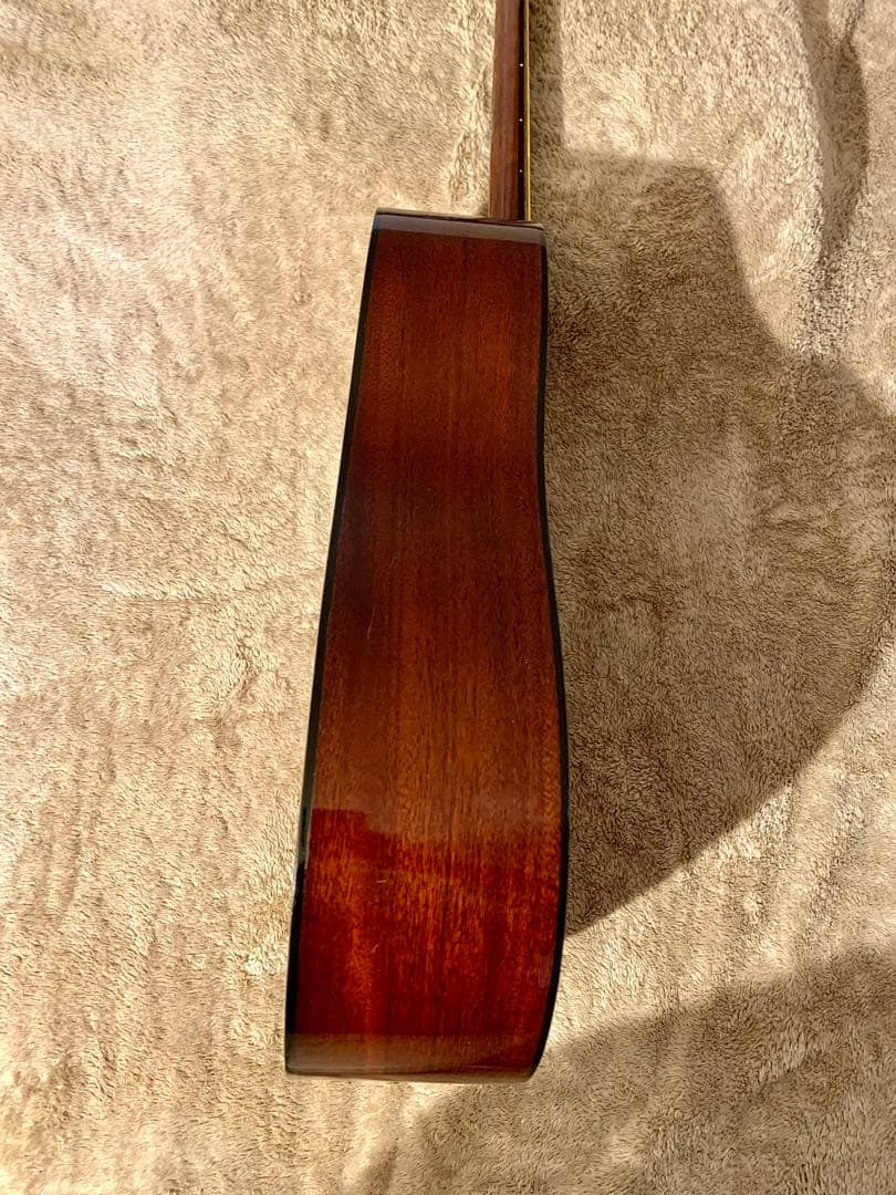 Jagard JD-150 寺田製70s国産レアモデル ビンテージギター