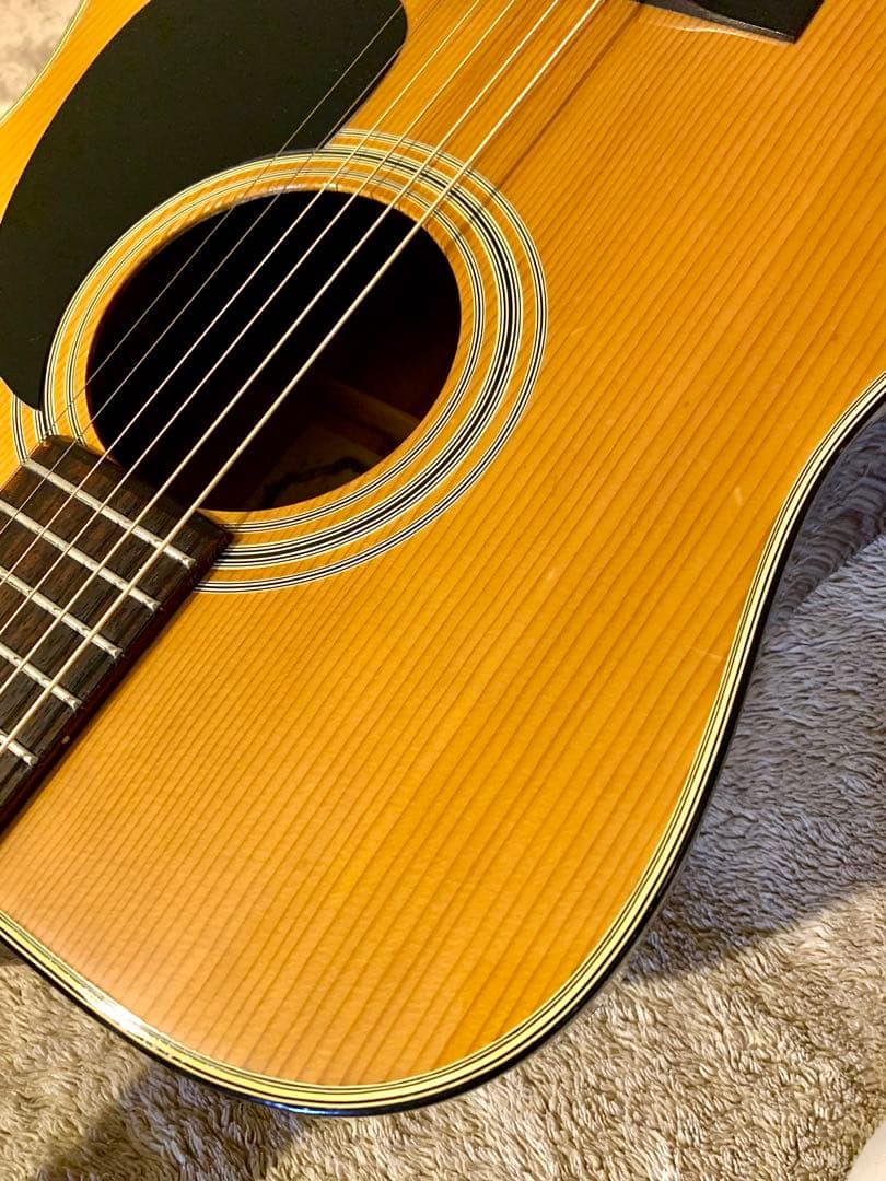 Jagard JD-150 寺田製70s国産レアモデル ビンテージギター