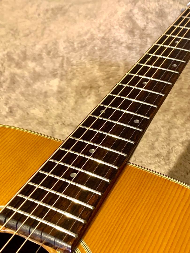 Jagard JD-150 寺田製70s国産レアモデル ビンテージギター