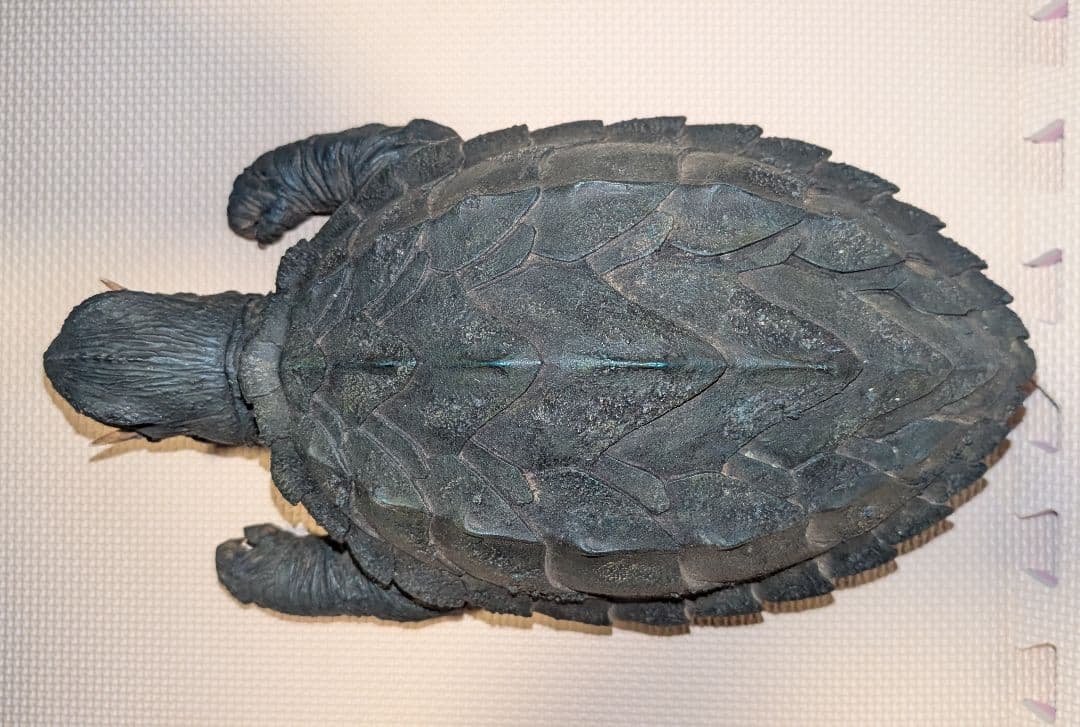 大怪獣空中決戦飛行M1号ガメラ1尺ソフビキット完成品（中古）