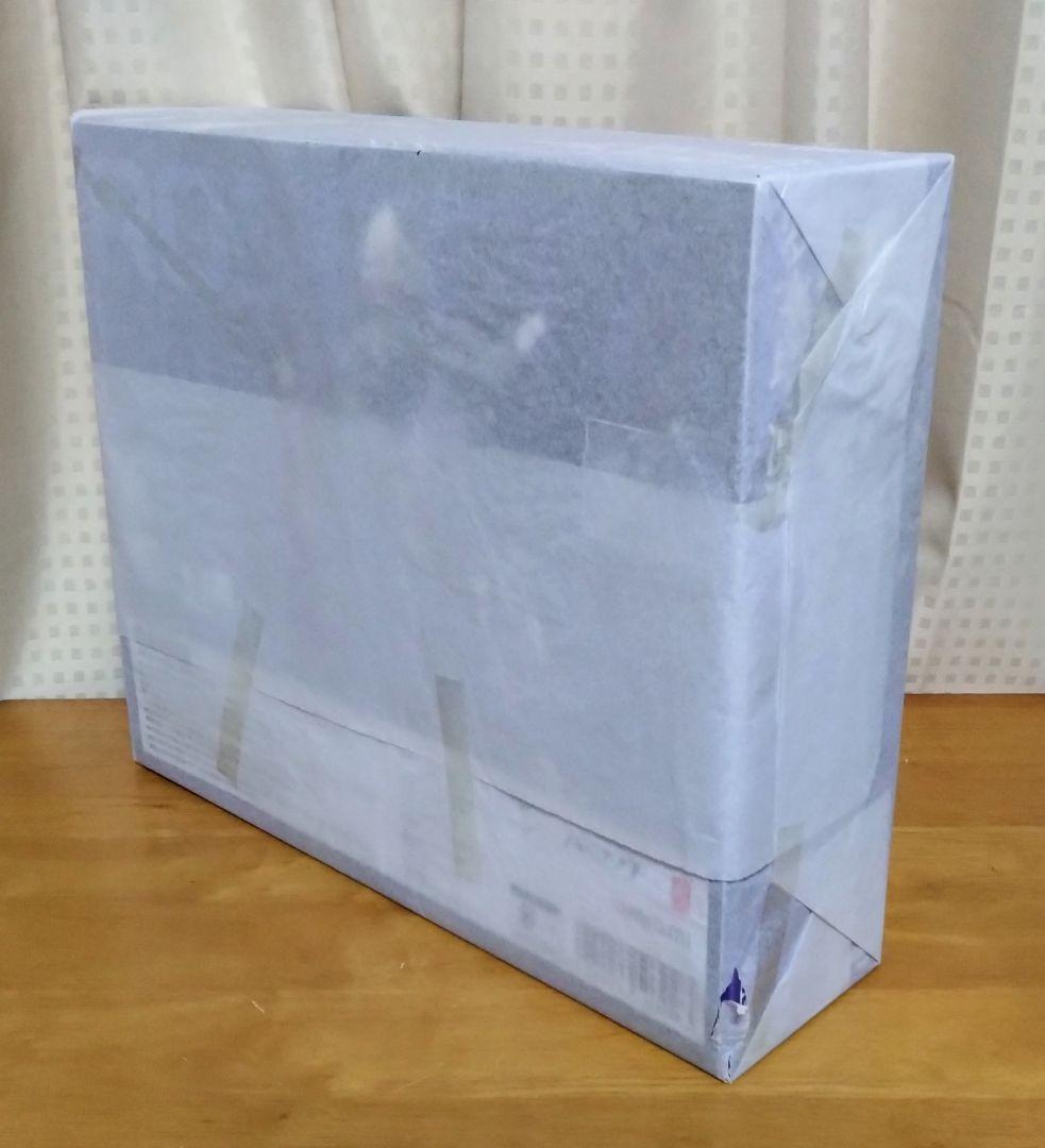 パニシング：グレイレイヴン ロゼッタ・凛烈
