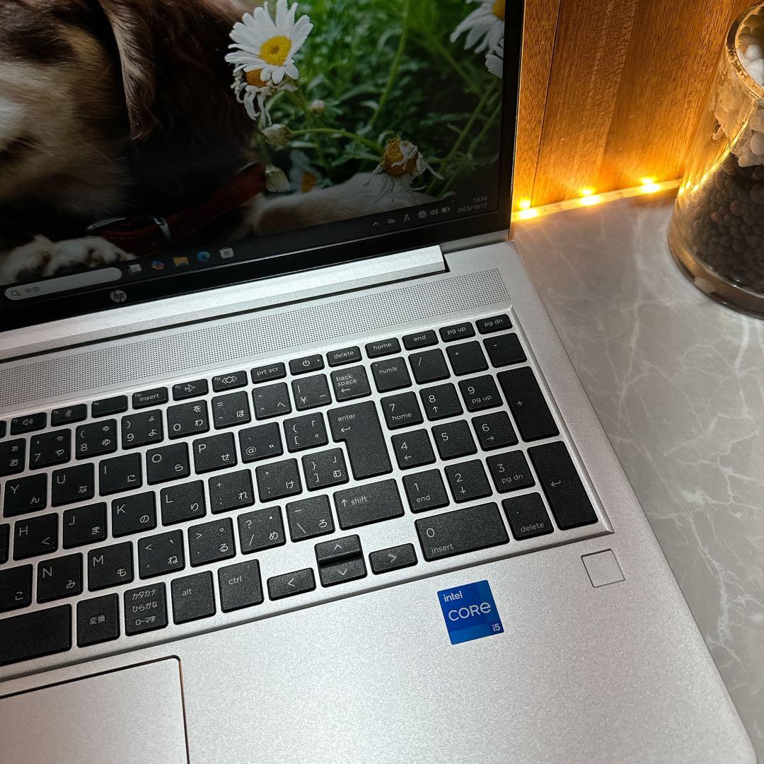 極美品‼️HP ProBook 450☘第13世代☘メモリ16GB☘ノートパソコン
