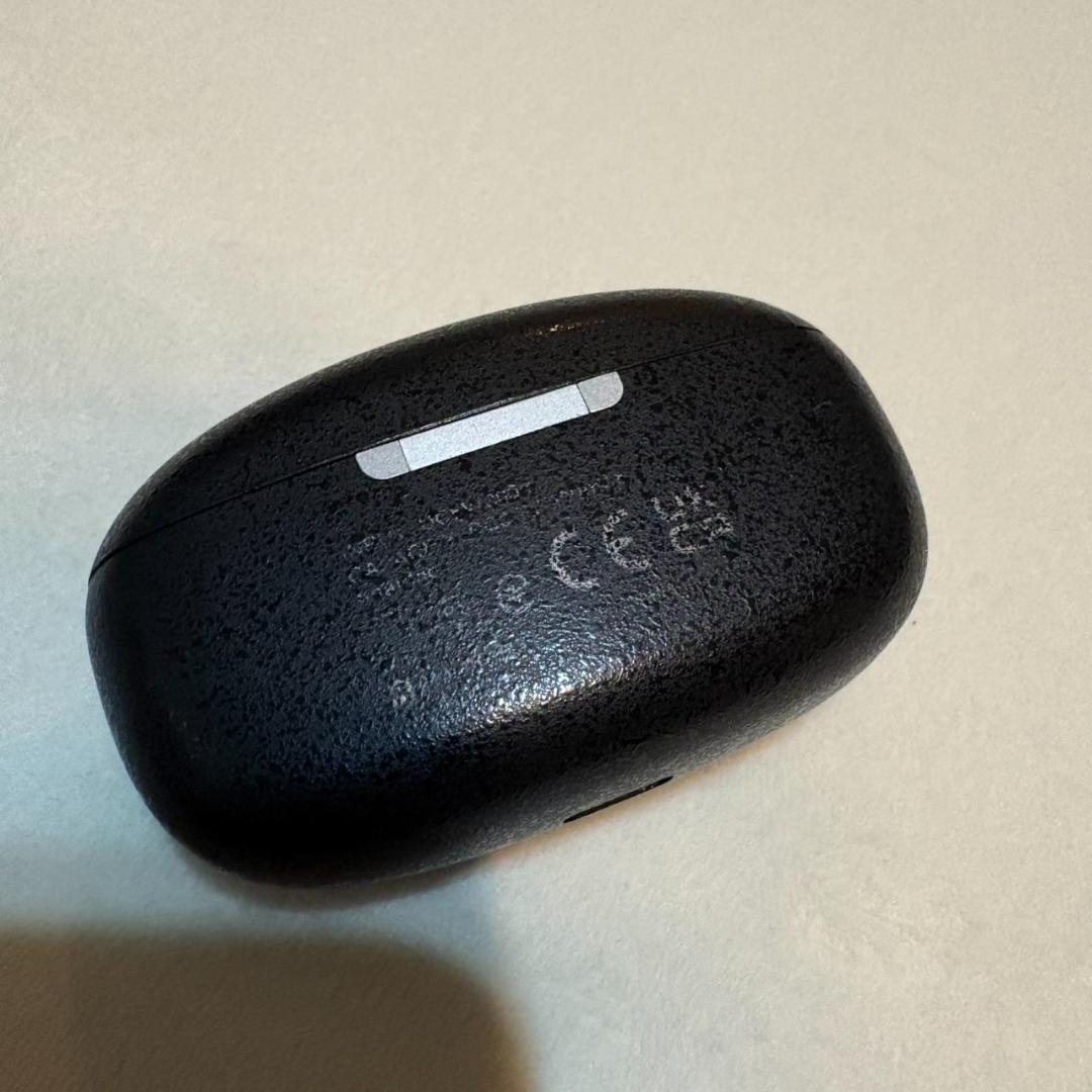 final ZE3000 ブラック｜完全ワイヤレスイヤホン 高音質モデル