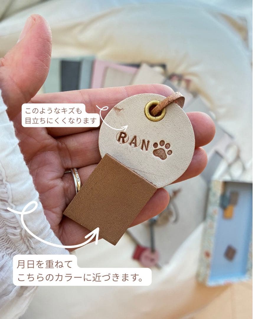 ルッカ　　１８点