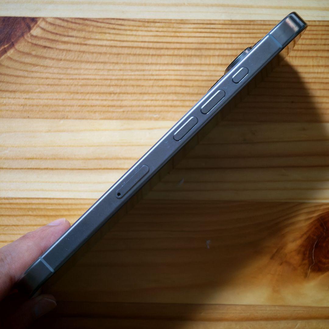 Apple iPhone 16 Pro Natural 256GB CA版