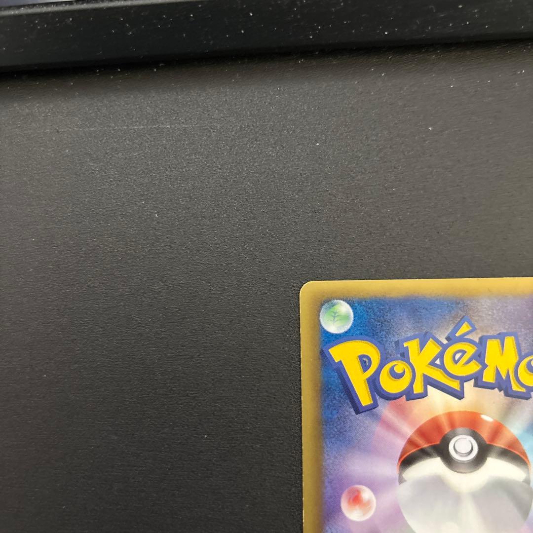 メロエッタ　SR