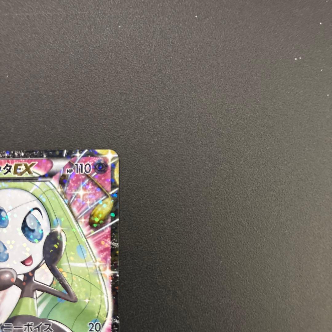 メロエッタ　SR