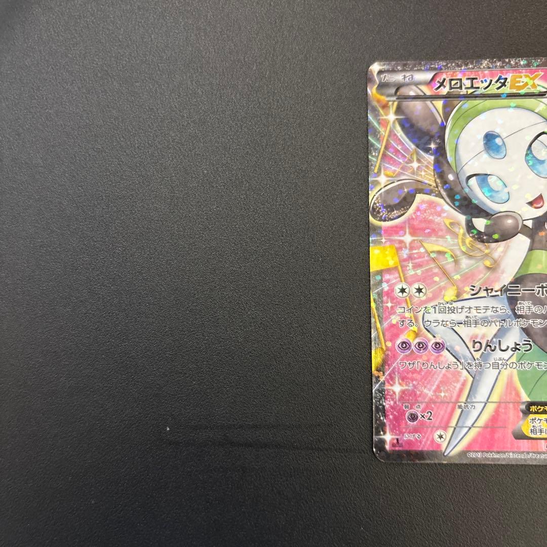 メロエッタ　SR