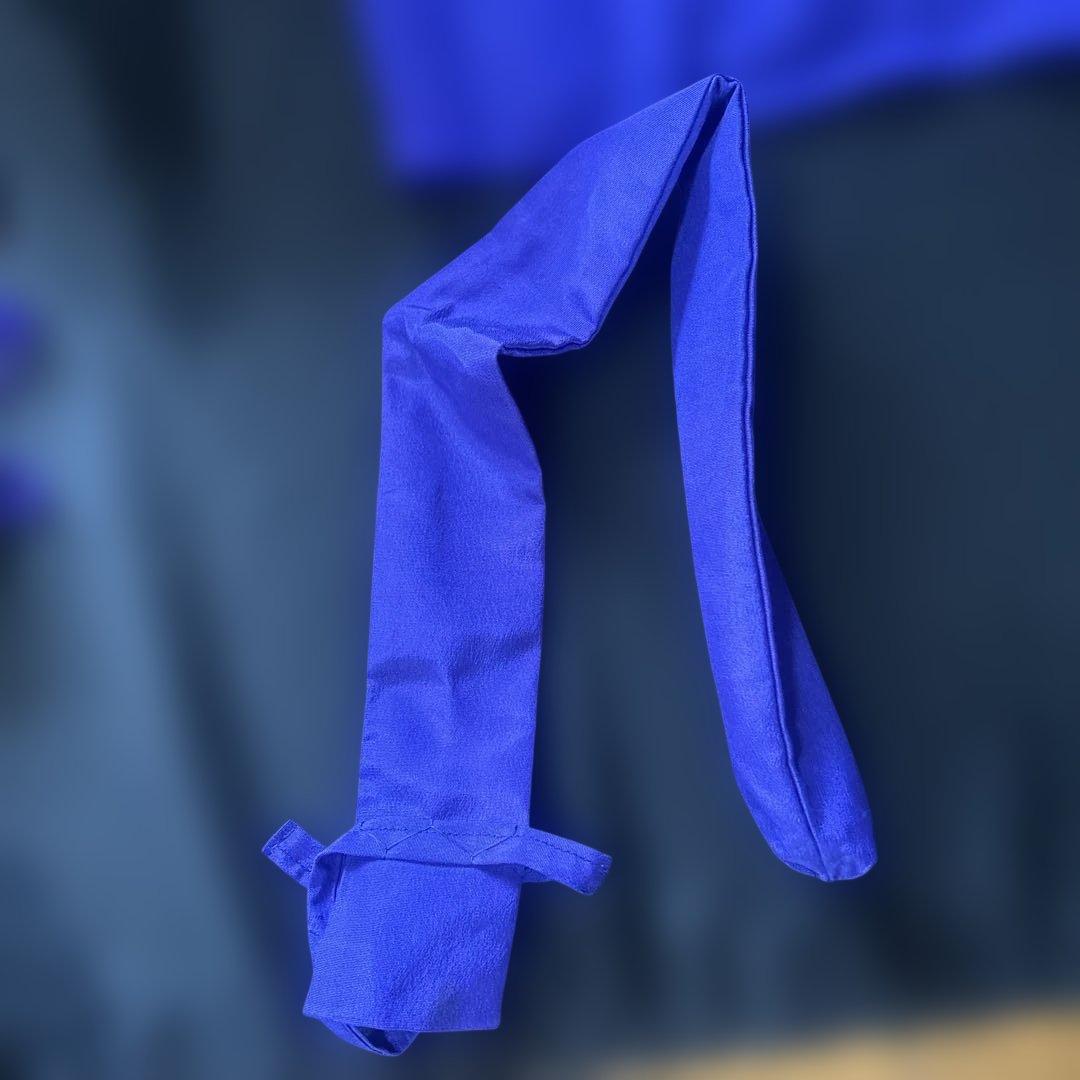 【高級／一式セット】三味線 撥・駒・ハードケース・カバー付き（皮破れあり）