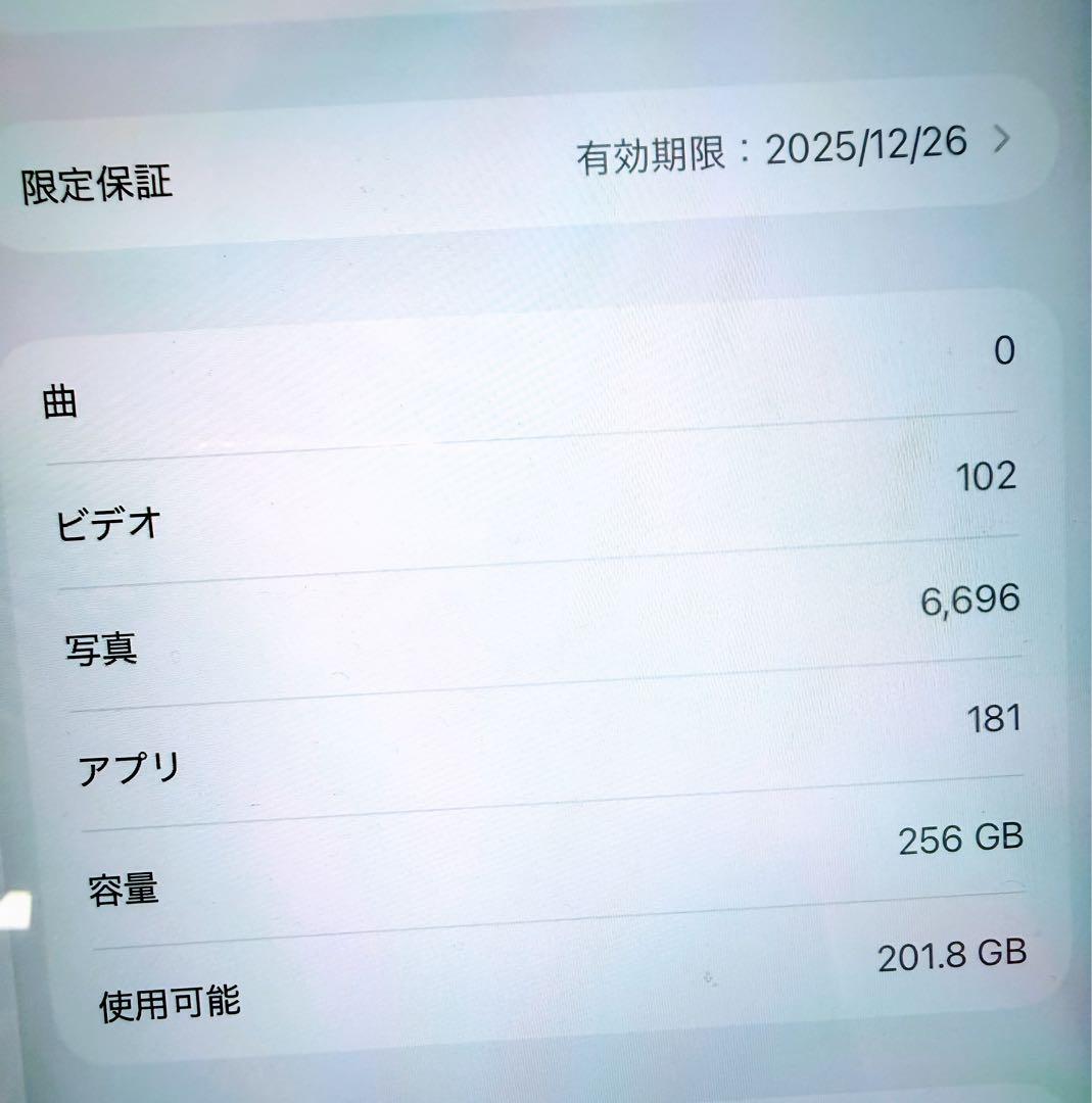 【美品】iPad Air 11インチ M2 Wi-Fi 256GB ブルー